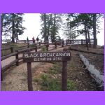 Black Birch Canyon.jpg